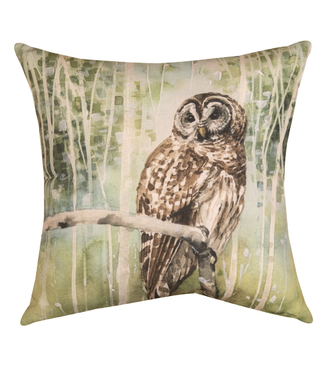 Nature's Call Owl Pillow