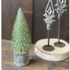 Iced Foxtail Pine Tree*