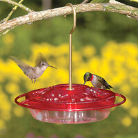 Little Fancy Rose HB Feeder 8 oz.