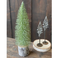 Iced Foxtail Pine Tree*