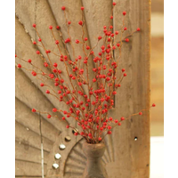 16" Heart Berries Pick