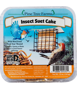Bradley Caldwell, Inc PTF Insect Suet Cake