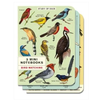 Cavallini Papers & Co Bird Watching Mini Notebooks