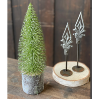 Iced Foxtail Pine Tree*