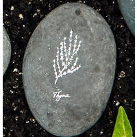 Stone Herb Marker