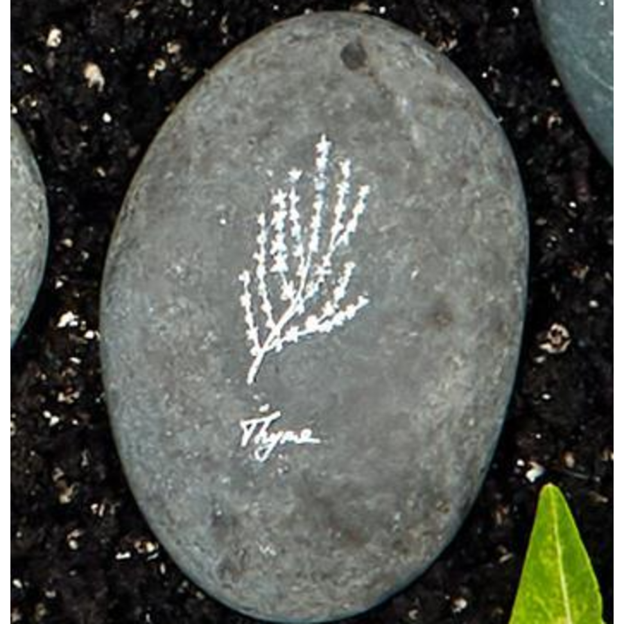 Stone Herb Marker