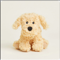 Golden Dog Warmies Junior