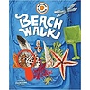 Workman Publishing Backpack Explorer: Beach Walk