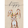 Mud Pie Painted Towels