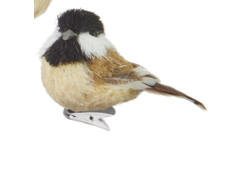 Clip-On Bird Ornament 2.75" 