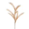 Tan Pampas Grass Spray 33"