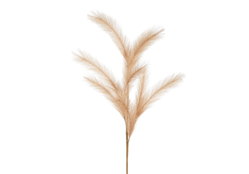 Tan Pampas Grass Spray 33"   Tan Pampas Grass Spray 33"