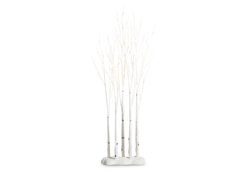  Birch Lighted Grove 4' 