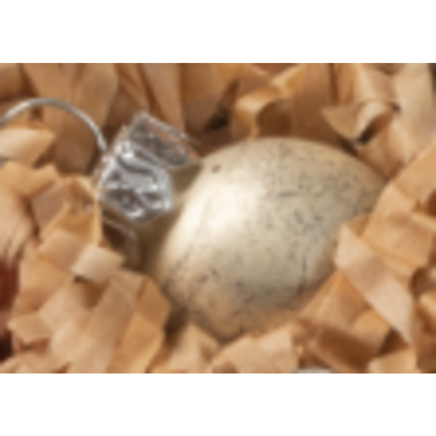 Glass Ball Ornament Individual