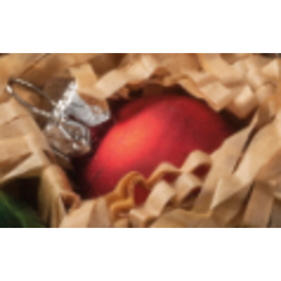 Glass Ball Ornament Individual