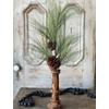 30" Loft Needle Pine Pick