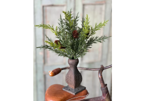  14" Prickly Pine Pick 