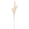 K & K Interiors Inc Natural Pampas 35 in
