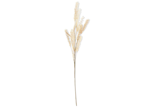  K & K Interiors Inc Natural Pampas 35 in 