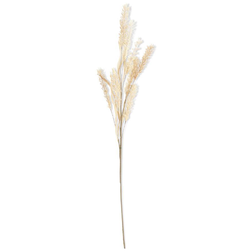 K & K Interiors Inc Natural Pampas 35 in 