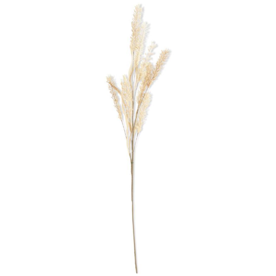 Natural Pampas 35 in
