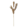 K & K Interiors Inc Grey Grass 42"