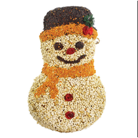 Frosty Snowman Seed Ornament