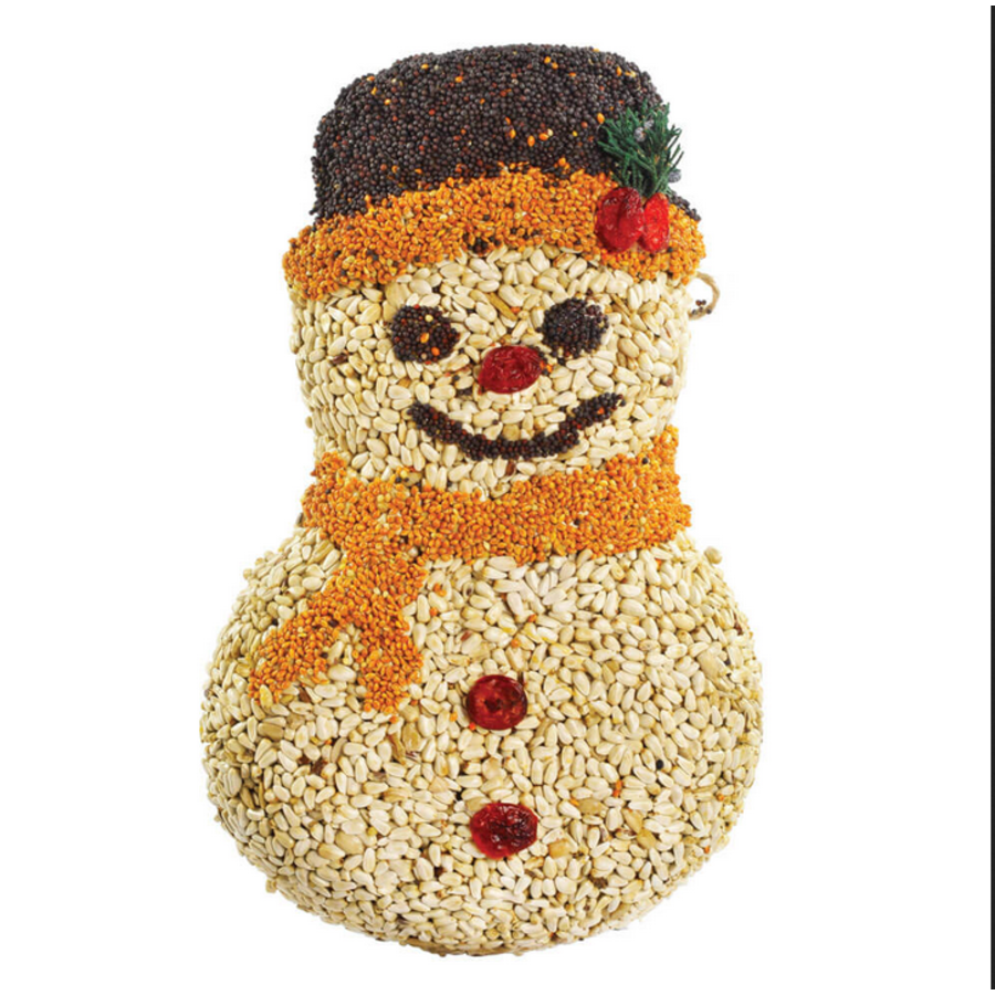 Frosty Snowman Seed Ornament