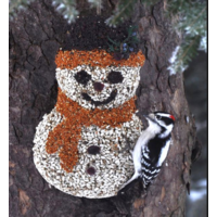 Frosty Snowman Seed Ornament