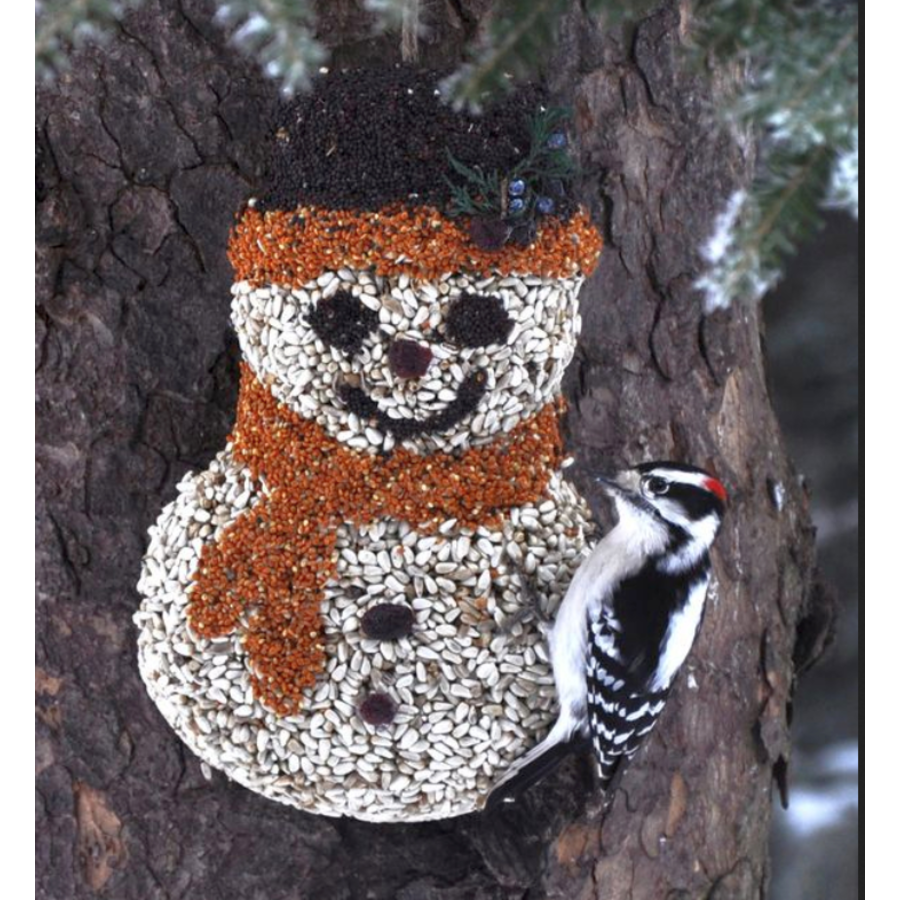 Frosty Snowman Seed Ornament