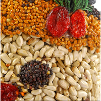 Frosty Snowman Seed Ornament