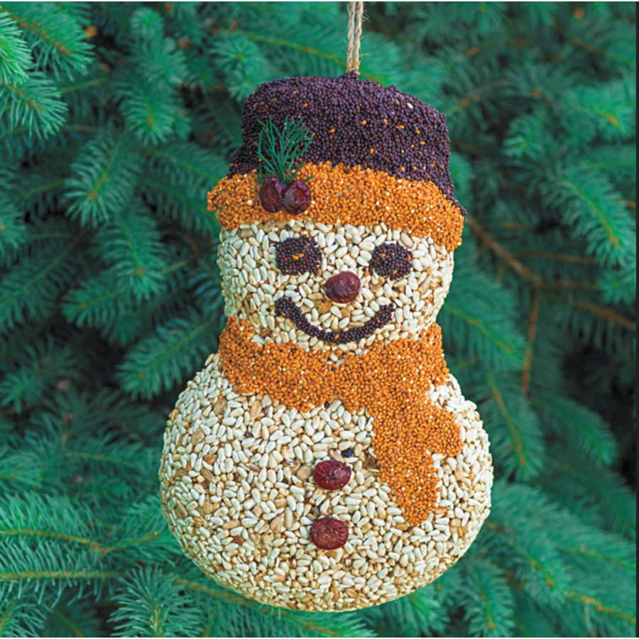 Frosty Snowman Seed Ornament
