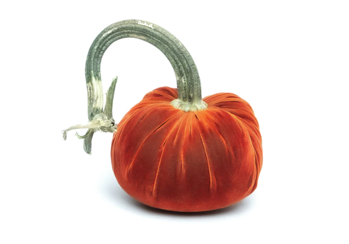  Hot Skwash Velvet Pumpkin 