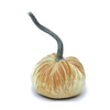 Hot Skwash Velvet Pumpkin