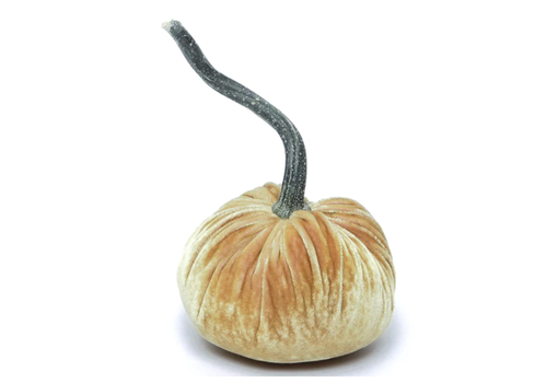 Hot Skwash Velvet Pumpkin   Hot Skwash Velvet Pumpkin