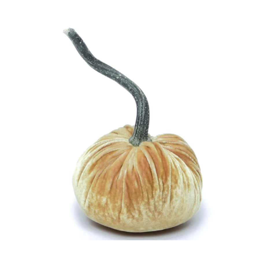 Velvet Pumpkin