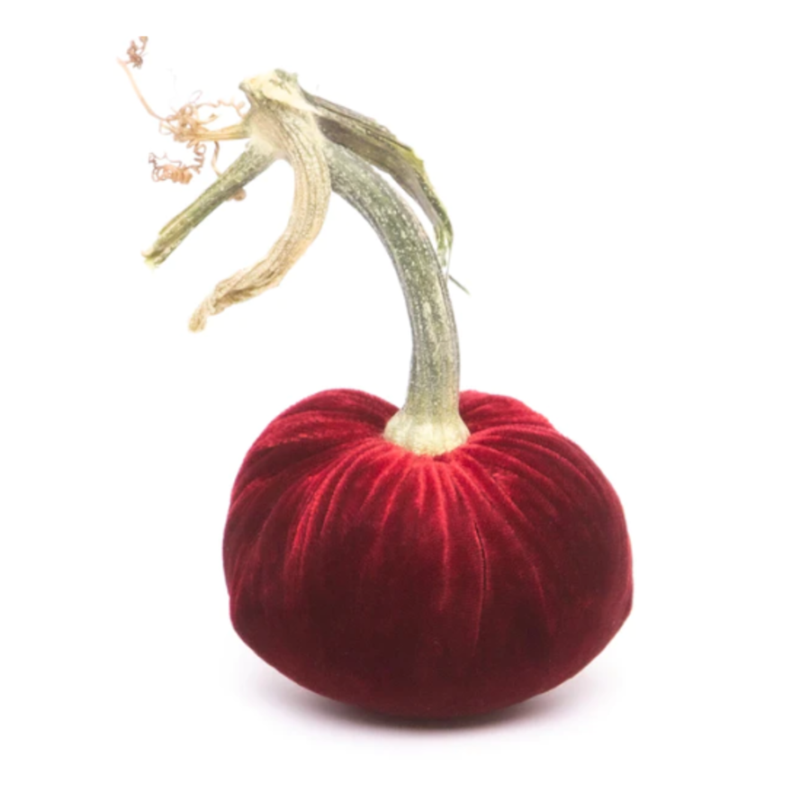 Velvet Pumpkin