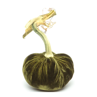 Velvet Pumpkin