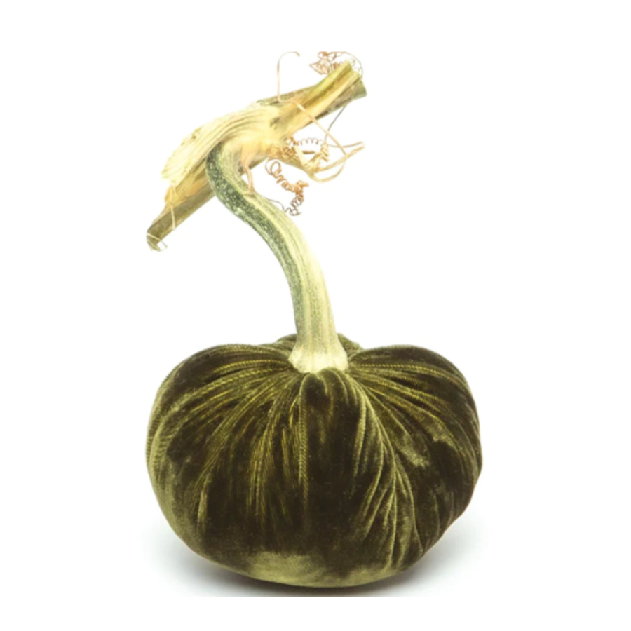 Velvet Pumpkin