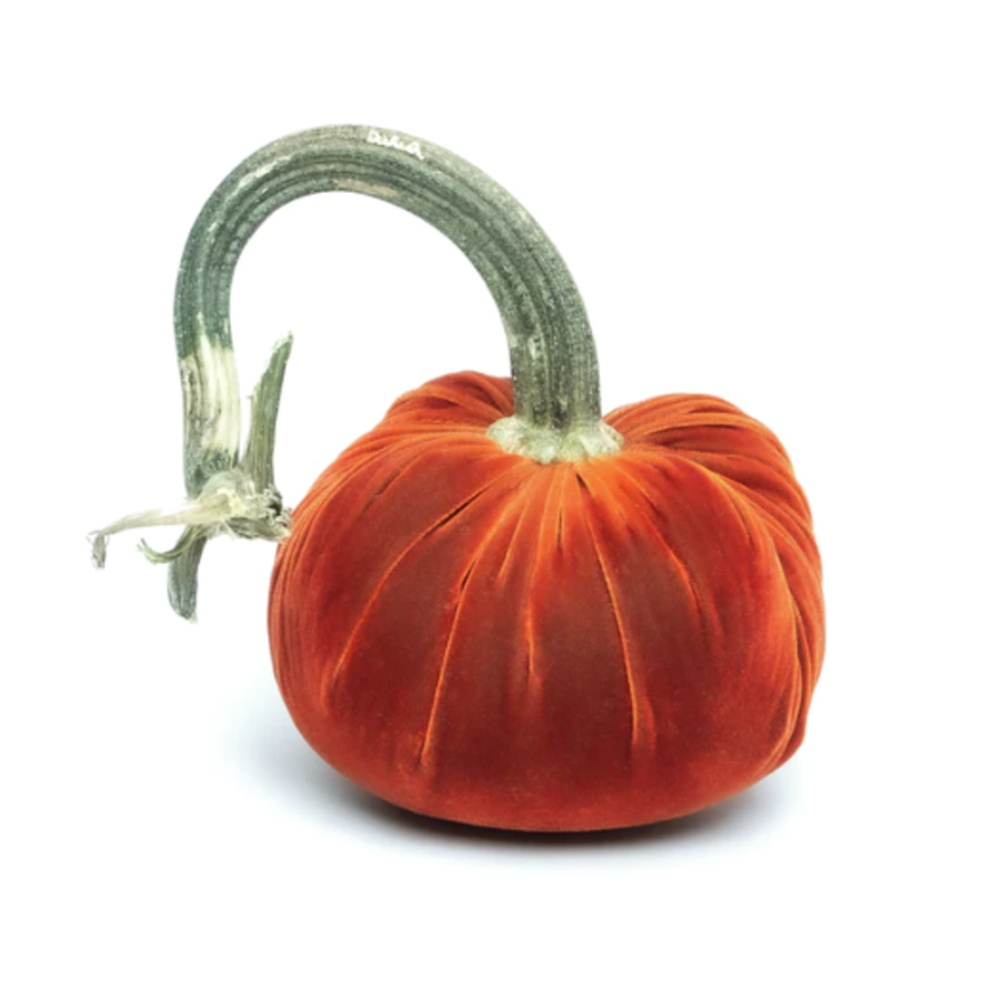 Velvet Pumpkin