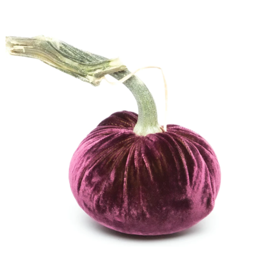 Velvet Pumpkin