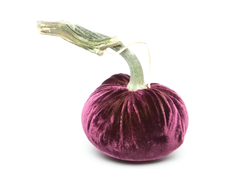  Pumpkin Velvet Junior Jumbo 