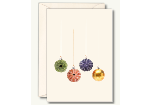  Earth sky water Sea Urchin Christmas Boxed Cards 