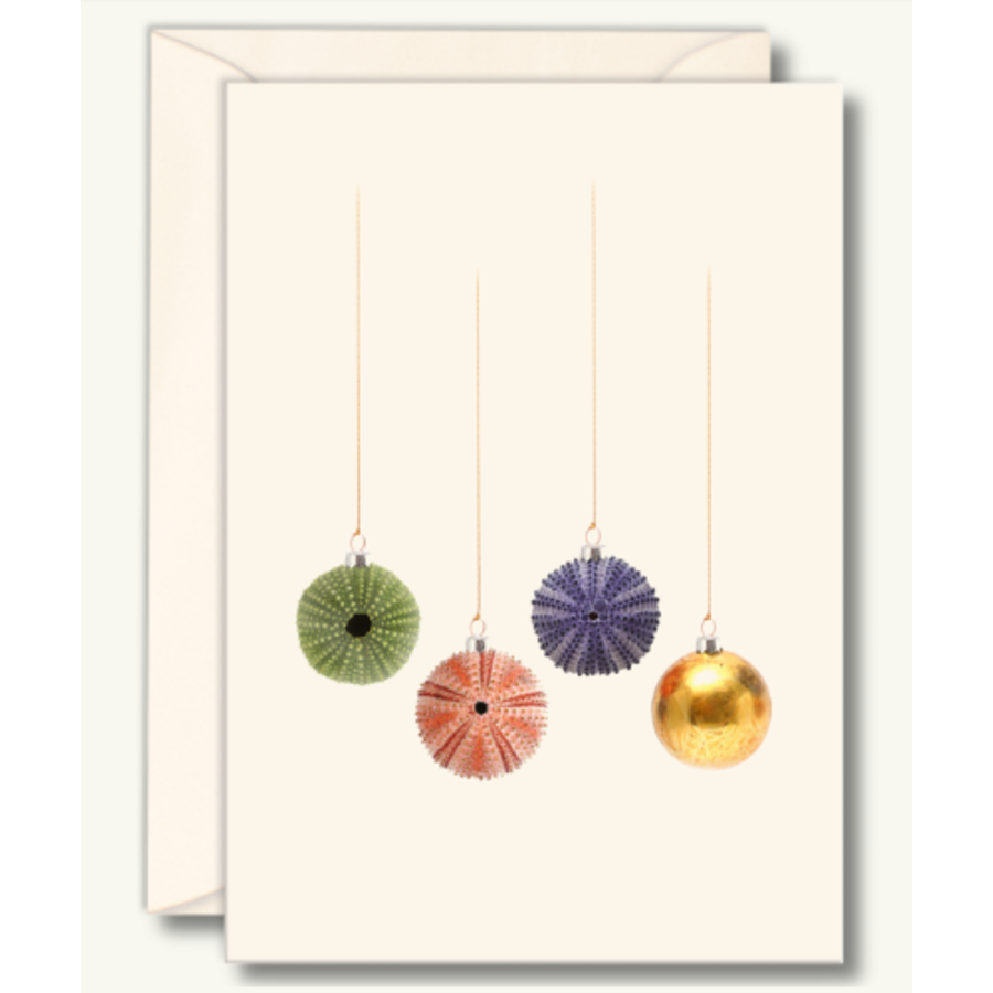 Sea Urchin Xmas Boxed Cards