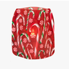 Modgy Luminary Lantern Candy Canes