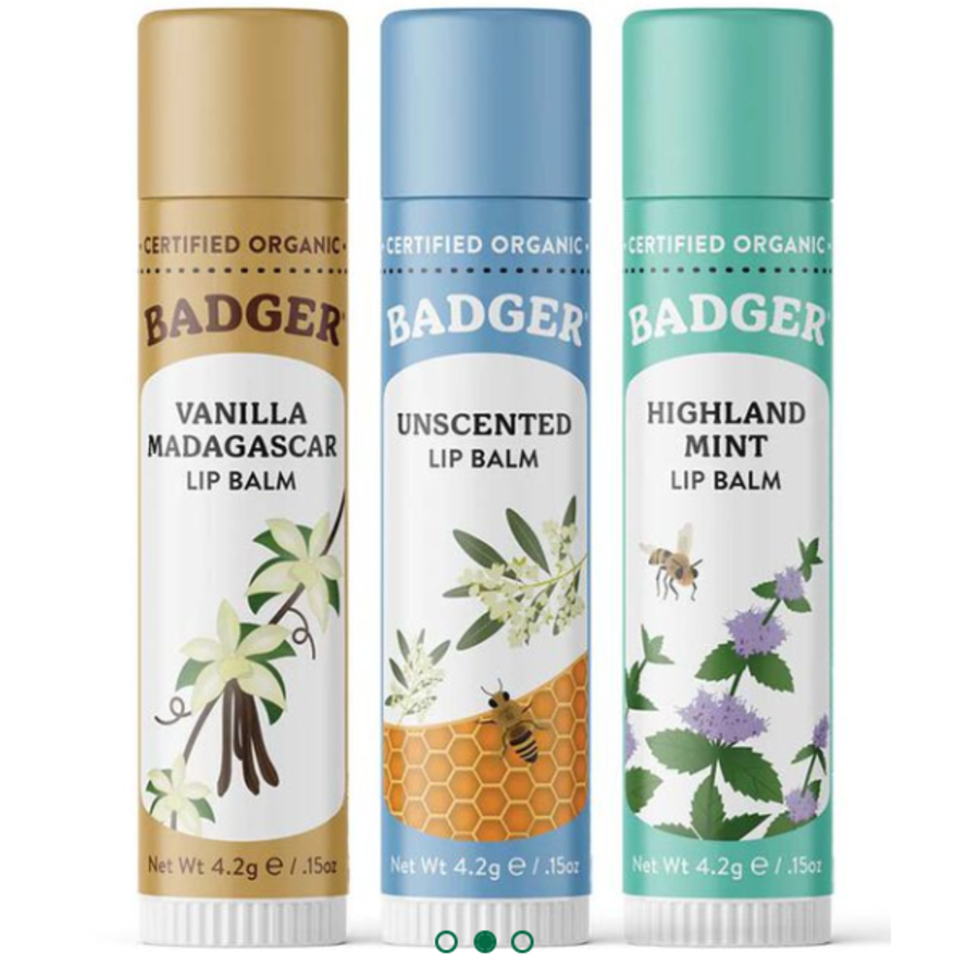 Holiday Lip Balm Set 3 Pack Blue Box