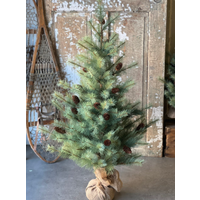 Whitley Pine Tree 4'