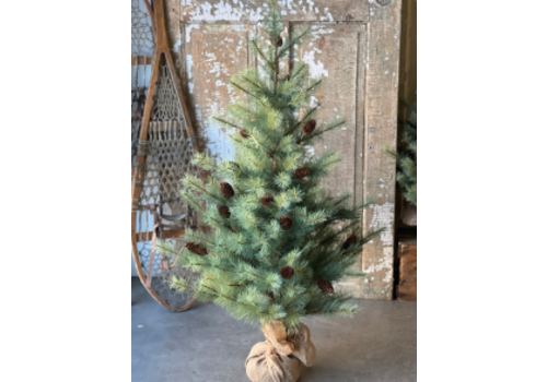  Whitley Pine Tree 4' 