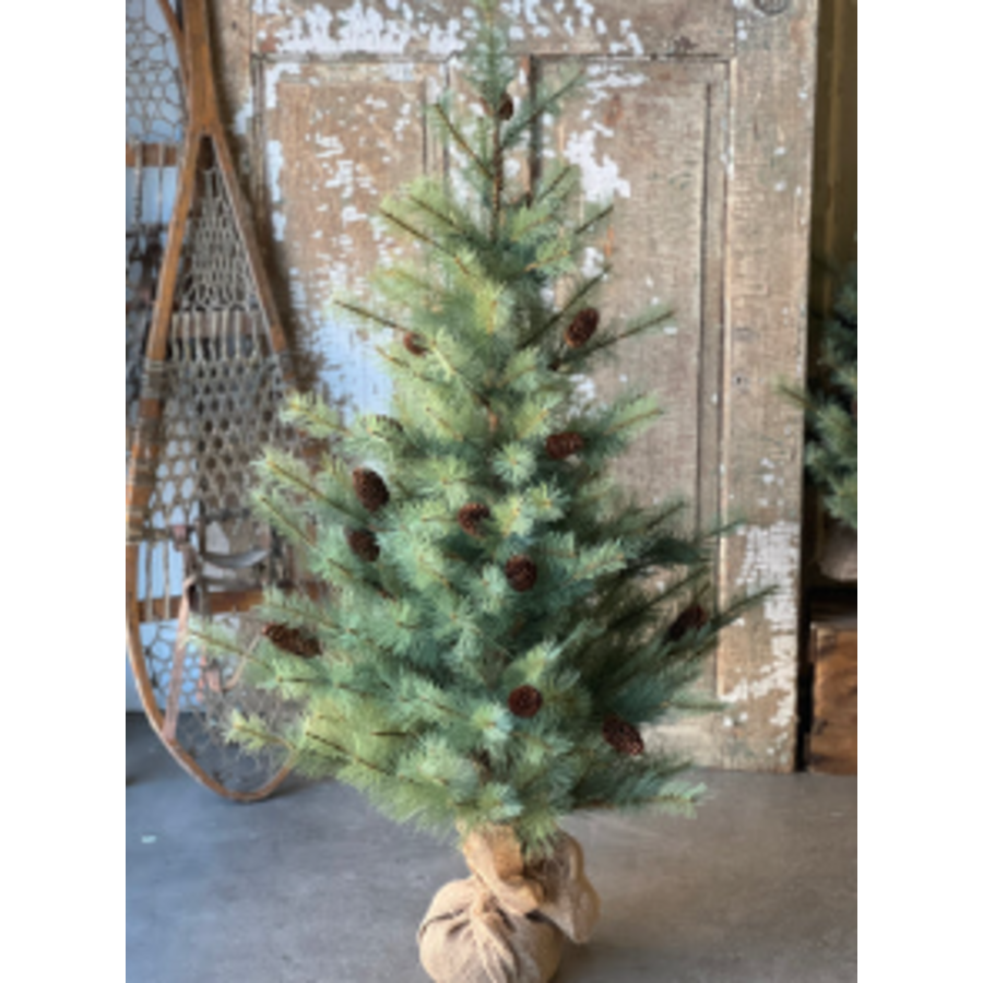 Whitley Pine Tree 4'