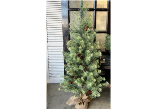 Black Valley Pine Tree 5'   Black Valley Pine Tree 5'